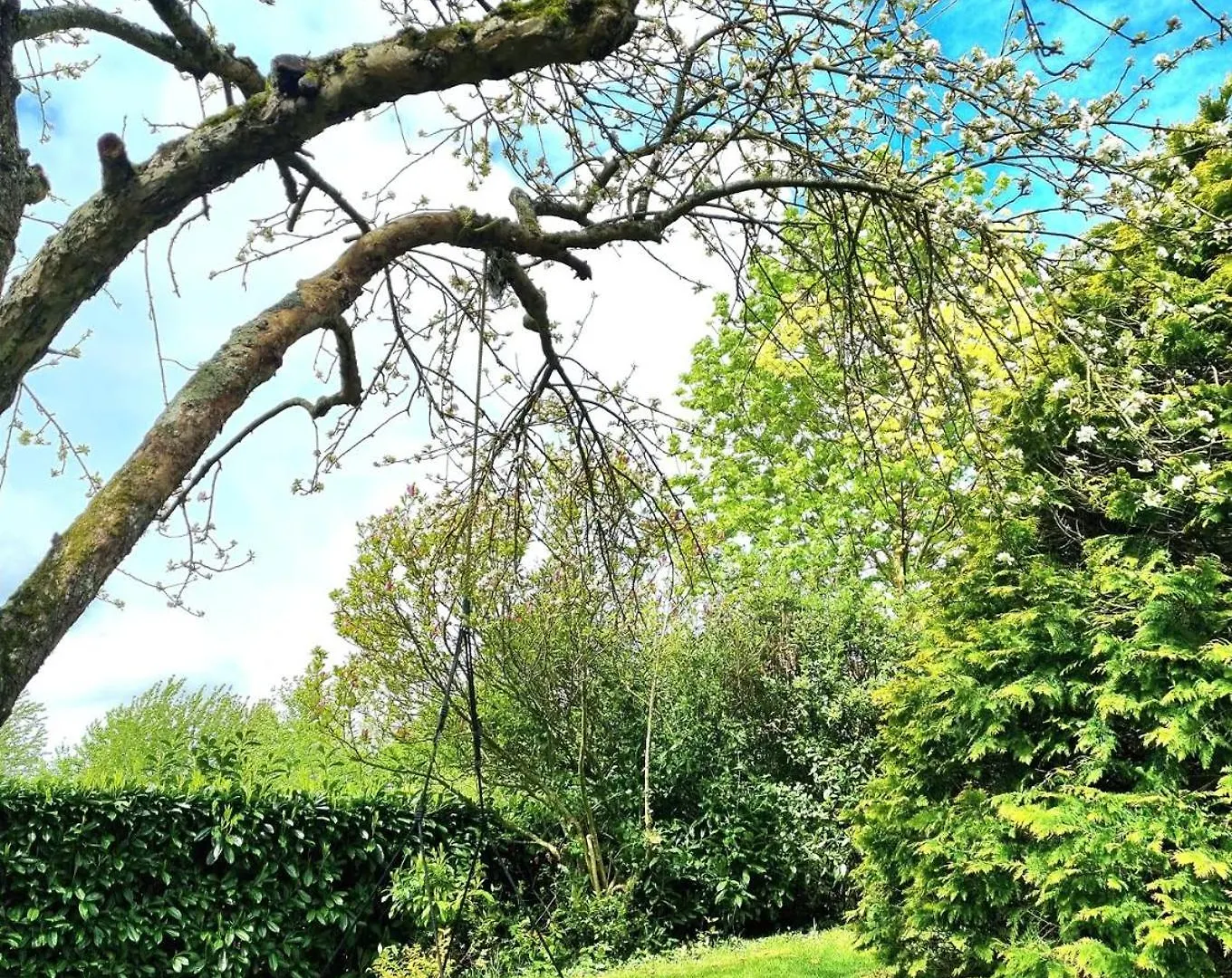Domaine De Corbelande Bed & Breakfast Miniac-sous-Becherel