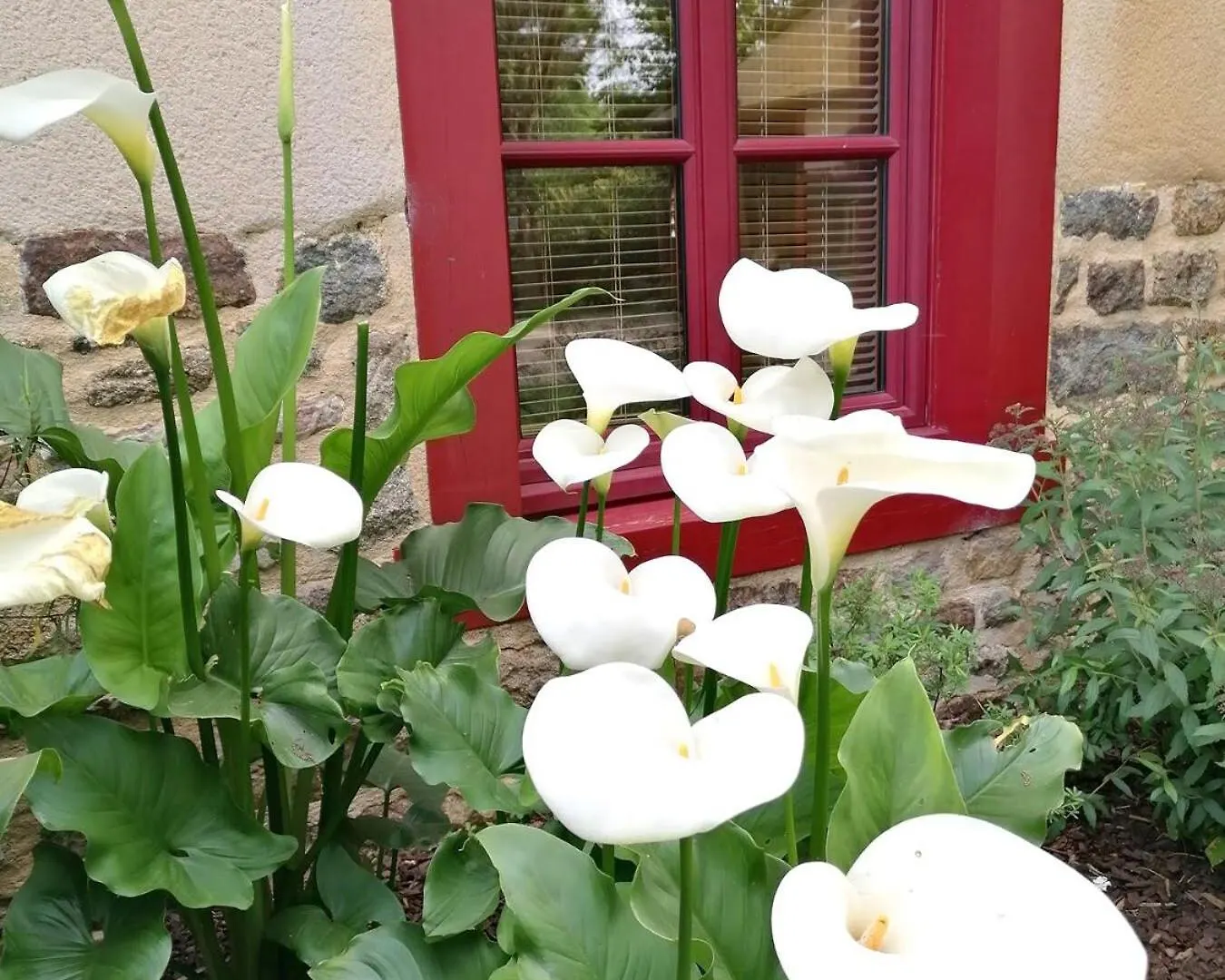 Domaine De Corbelande Bed & Breakfast Miniac-sous-Becherel France
